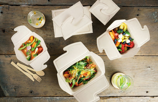 Meal Box to Go 500ml